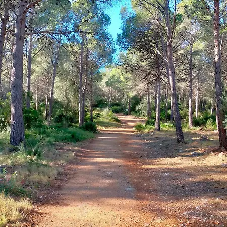 La Mallada Hébergement de vacances