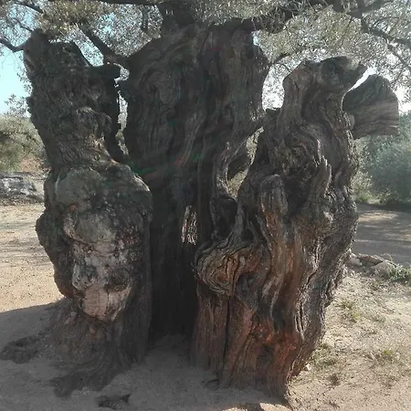 La Mallada San Jorge (Castellon)