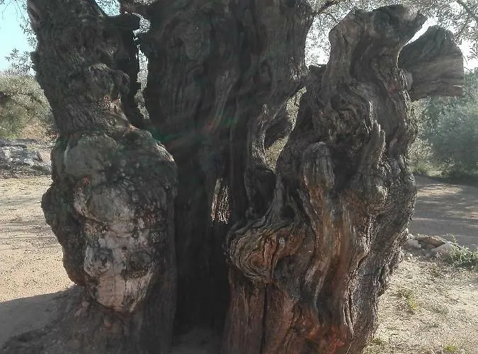 La Mallada San Jorge (Castellon)